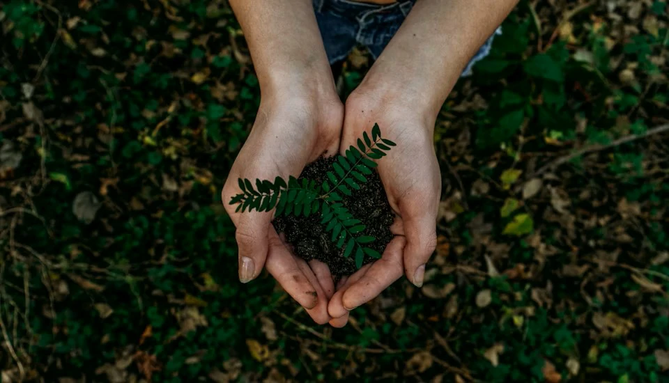Environmental stewardship