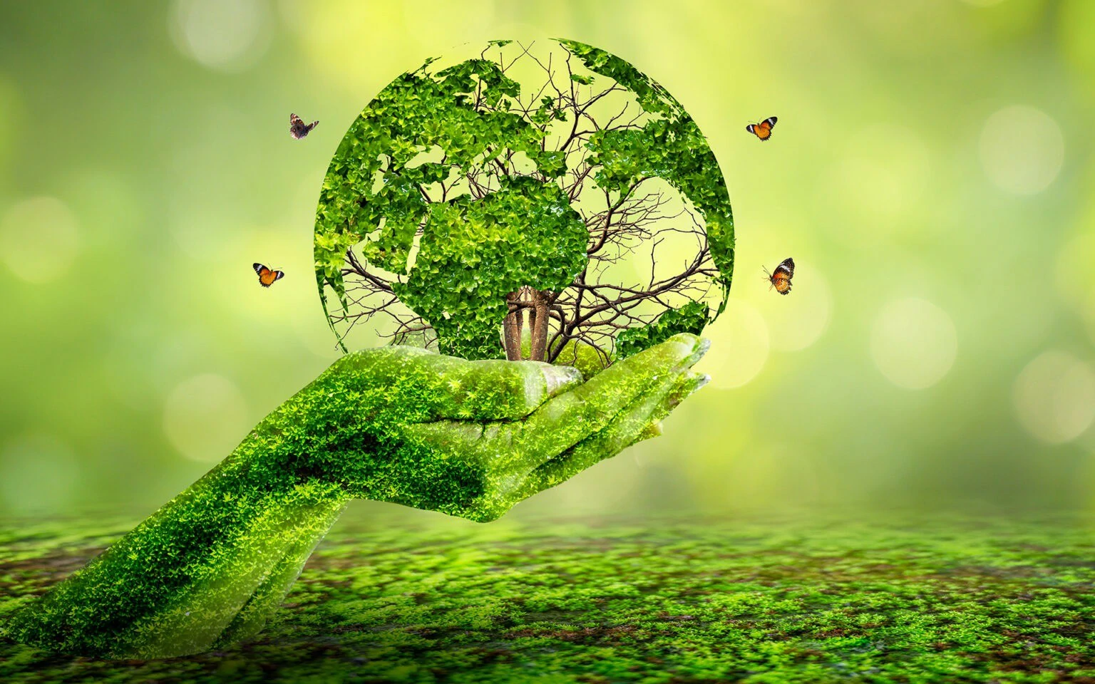 Sustainability banner 3